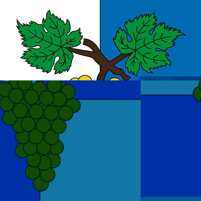 Blason Echichens